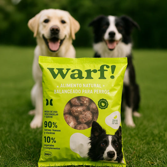 ¿Puedo empezar hoy mismo la dieta WARF RAW FOOD (BARF) con mi perro?
