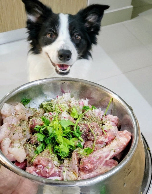 ¿Puede tu perro comer carne cruda? Su Naturaleza y la ciencia dicen que SÍ